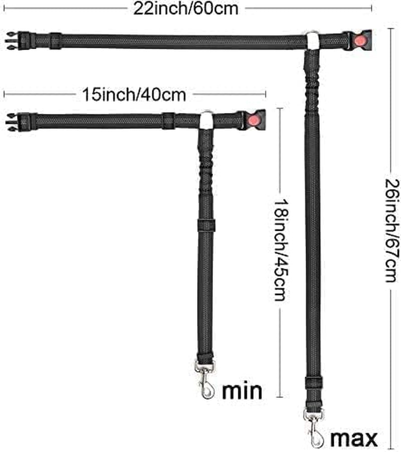 Dog Collar Seatbelt